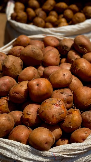 Patinho Bovino (kg)