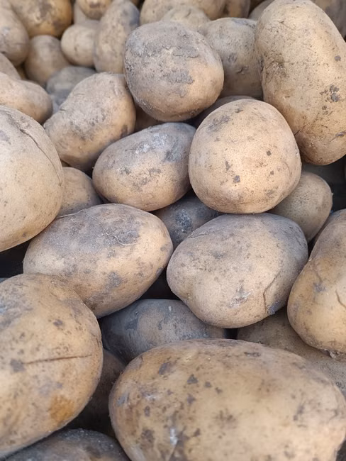 Farinha de Trigo (1kg)